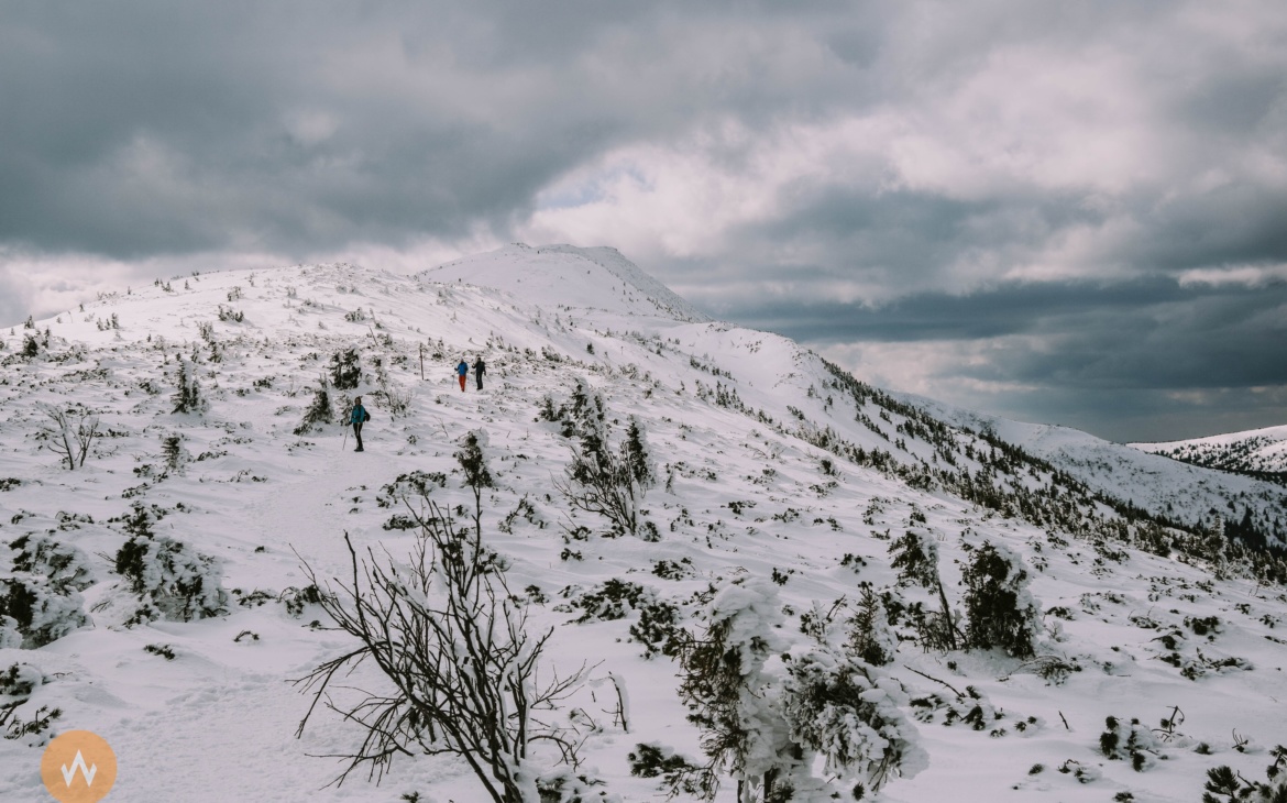 Babia Góra zimą z Przełęczy Krowiarki – opis szlaku